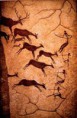 /album/fotogalerie-pro-6-tridu/a3-cave-painting-jpg1/